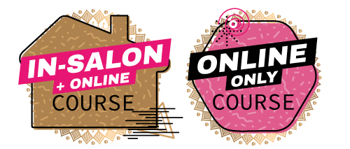 In Salon-Online-Hybrid-Courses